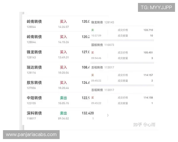 凯发集团网站支付方式与资金安全保障措施分析
