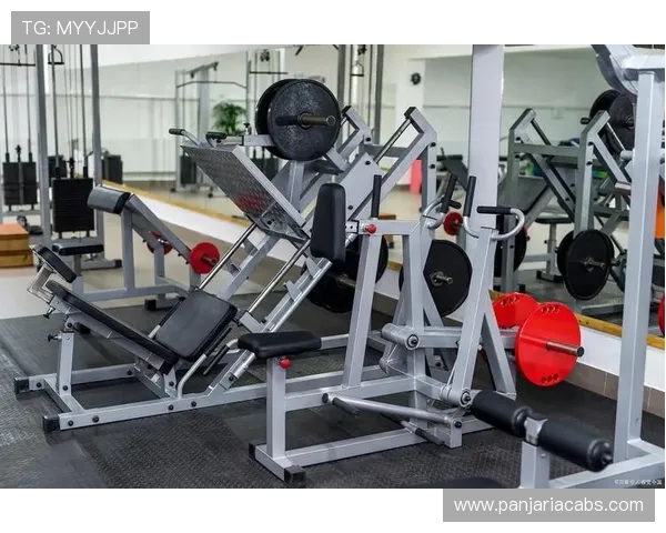 2. 详解PA体育厅的设施设备与现代化运动场地的完美结合 2. 详解PA体育厅的设施设备与现代化运动场地的完美结合