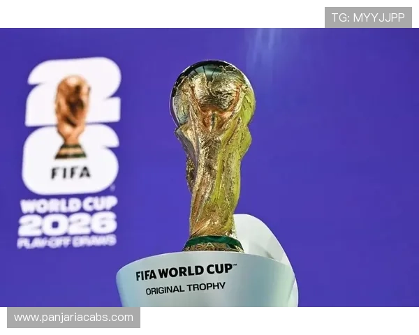 2026年世界杯球队数量将如何调整，专家解读未来足球盛事的参赛队伍变化
